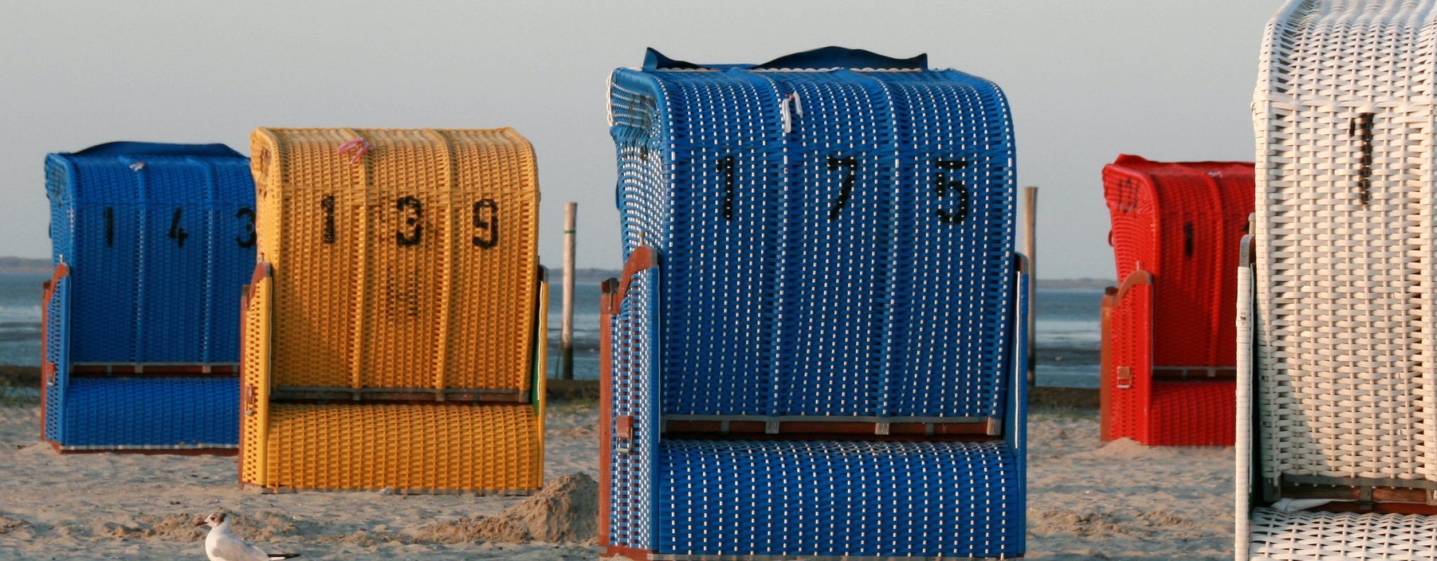 pexels-carsten-5228503